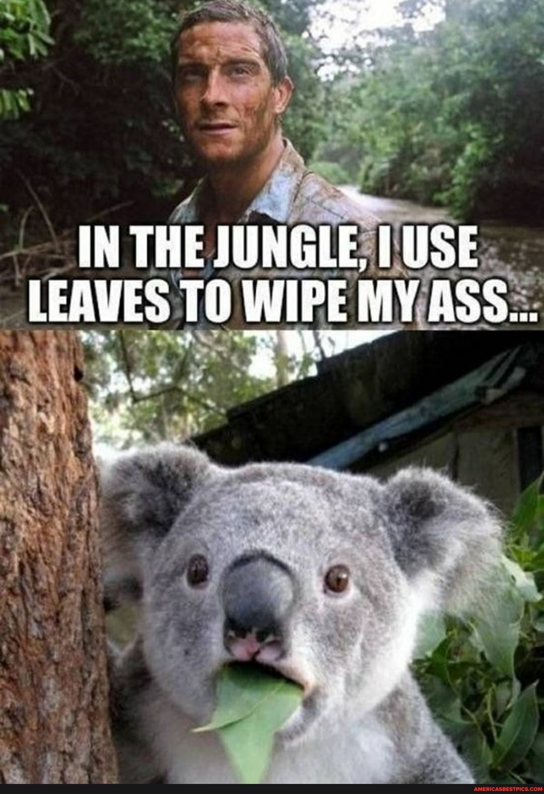 -IN THE JUNGLE TUSE:
LEAVES WIPE