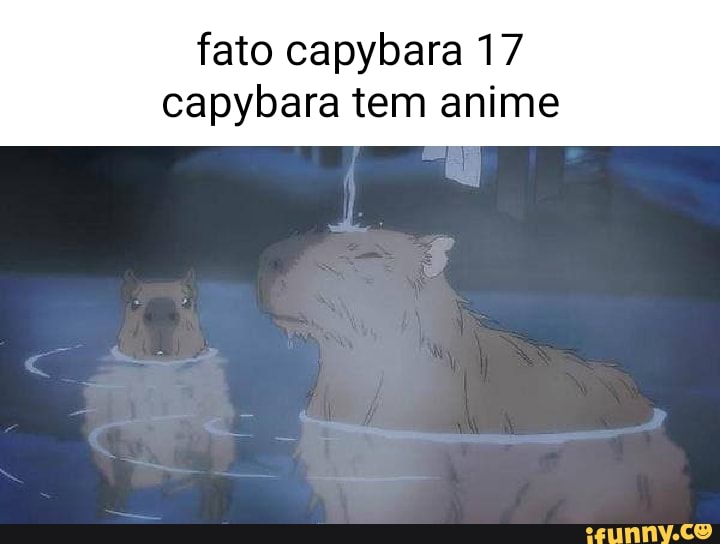 Capybara in a Hat  rmemes