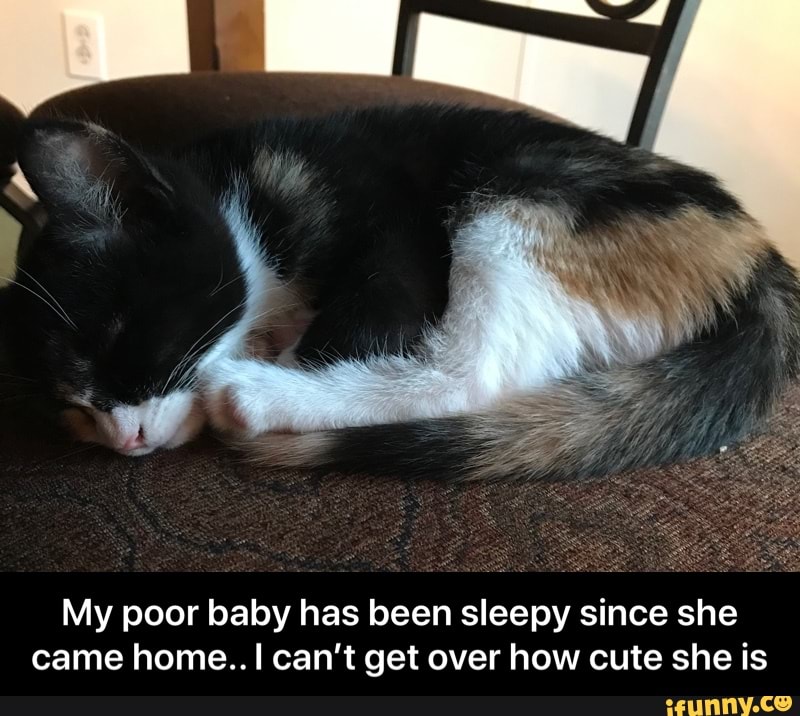 My poor baby has been sleepy since she
came home..I can't get over how cute she is - My poor baby has been sleepy since she came home.. I can’t get over how cute she is