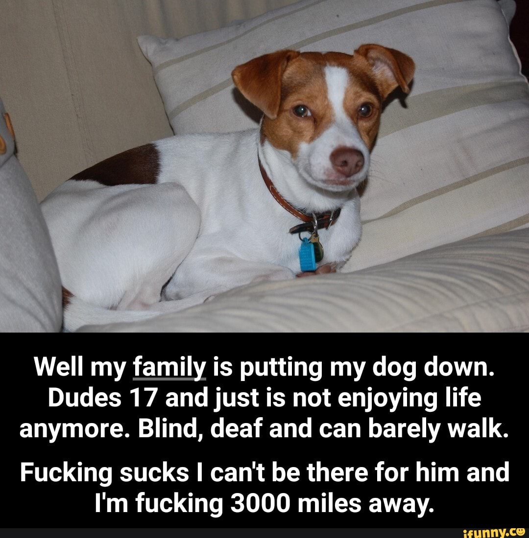 Well my family is putting my dog down.
Dudes 17 and just is not enjoying life
anymore. Blind, deaf and can barely walk.
Fucking sucks I can't be there for him and
I'm fucking 3000 miles away. - Fucking sucks I can't be there for him and I'm fucking 3000 miles away.