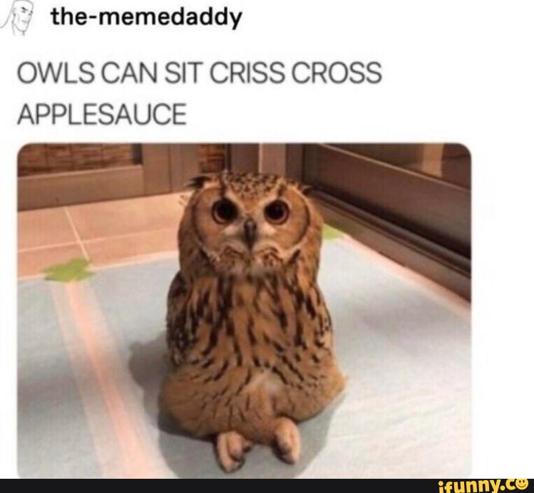 Thememedaddy OWLS CAN SIT CRISS CROSS APPLESAUCE iFunny