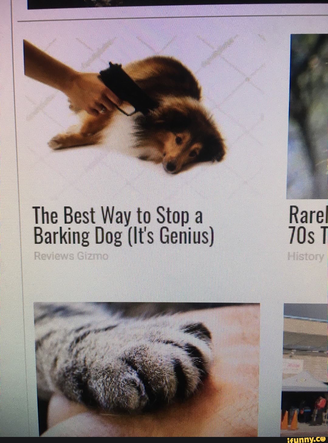 Best way to stop a barking dog it's genius Clearance