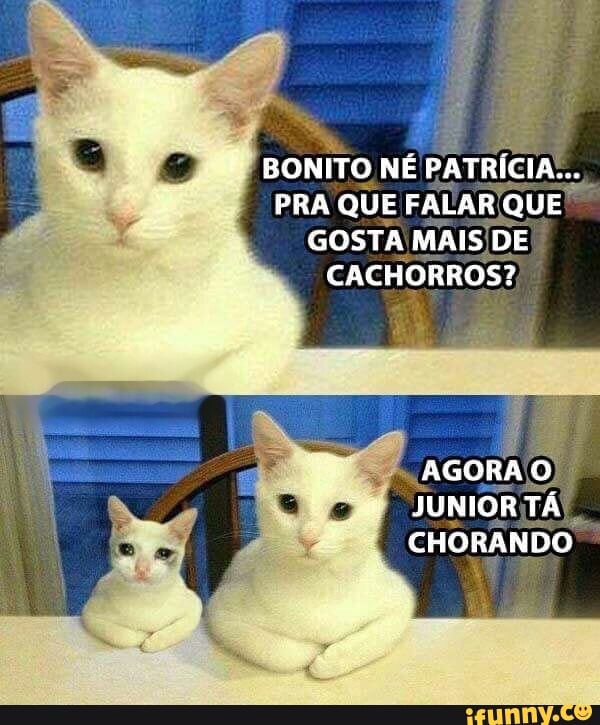 BONITO NÉ PATRÍCIA...
PRA QUE FALAR/QUE GOSTA MAIS/DE
CACHORROS?
CHORANDO