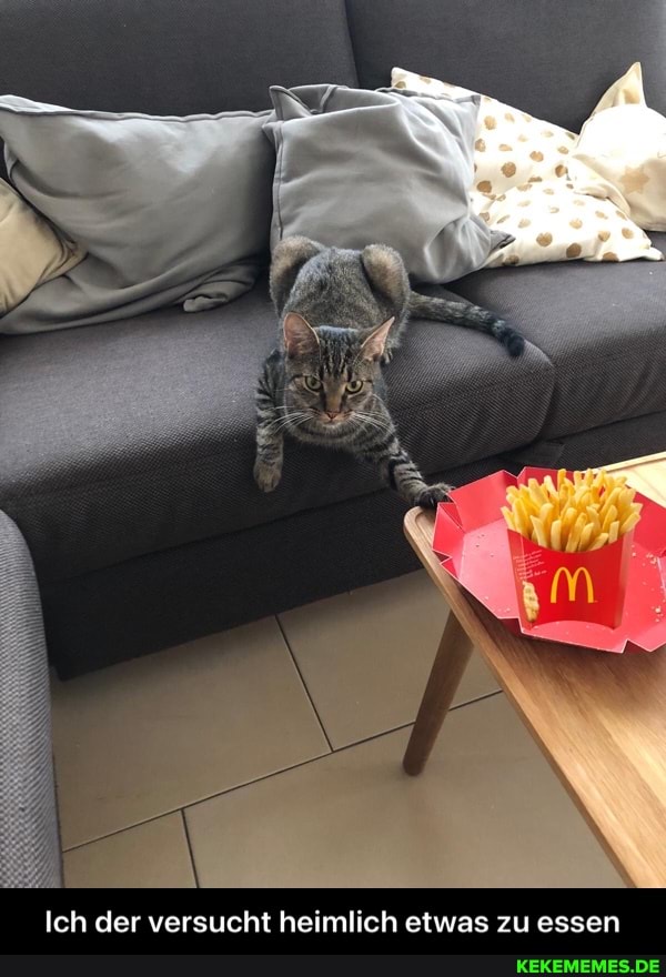 Ich der versucht heimlich etwas zu essen - Ich der versucht heimlich etwas zu essen