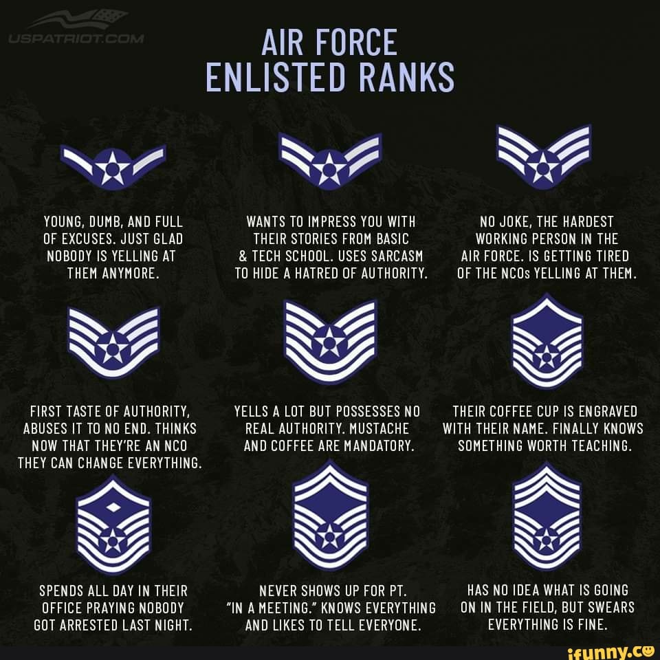 AIR FORCE ENLISTED RANKS SF YOUNG, DUMB, AND FULL WANTS TO IMPRESS YOU ...