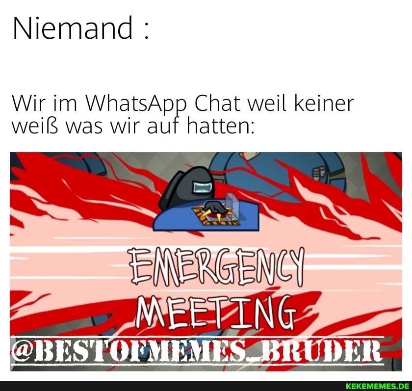 Niemand :
Wir im WhatsApp Chat weil keiner weiß was wir auf hatten:
@BESTOFMEMES_BRUDER