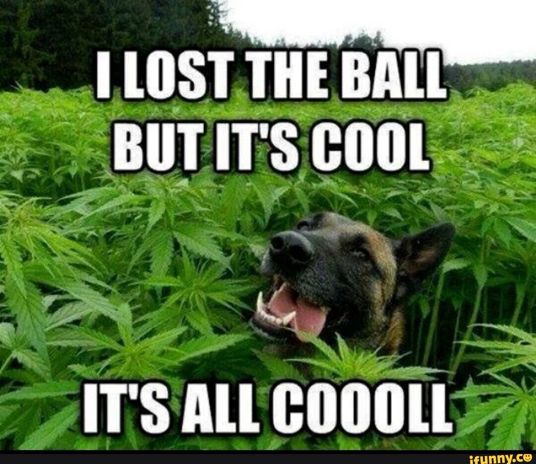 LOST THE BUT ITS GOOL IT'S ALL COOOLL - iFunny