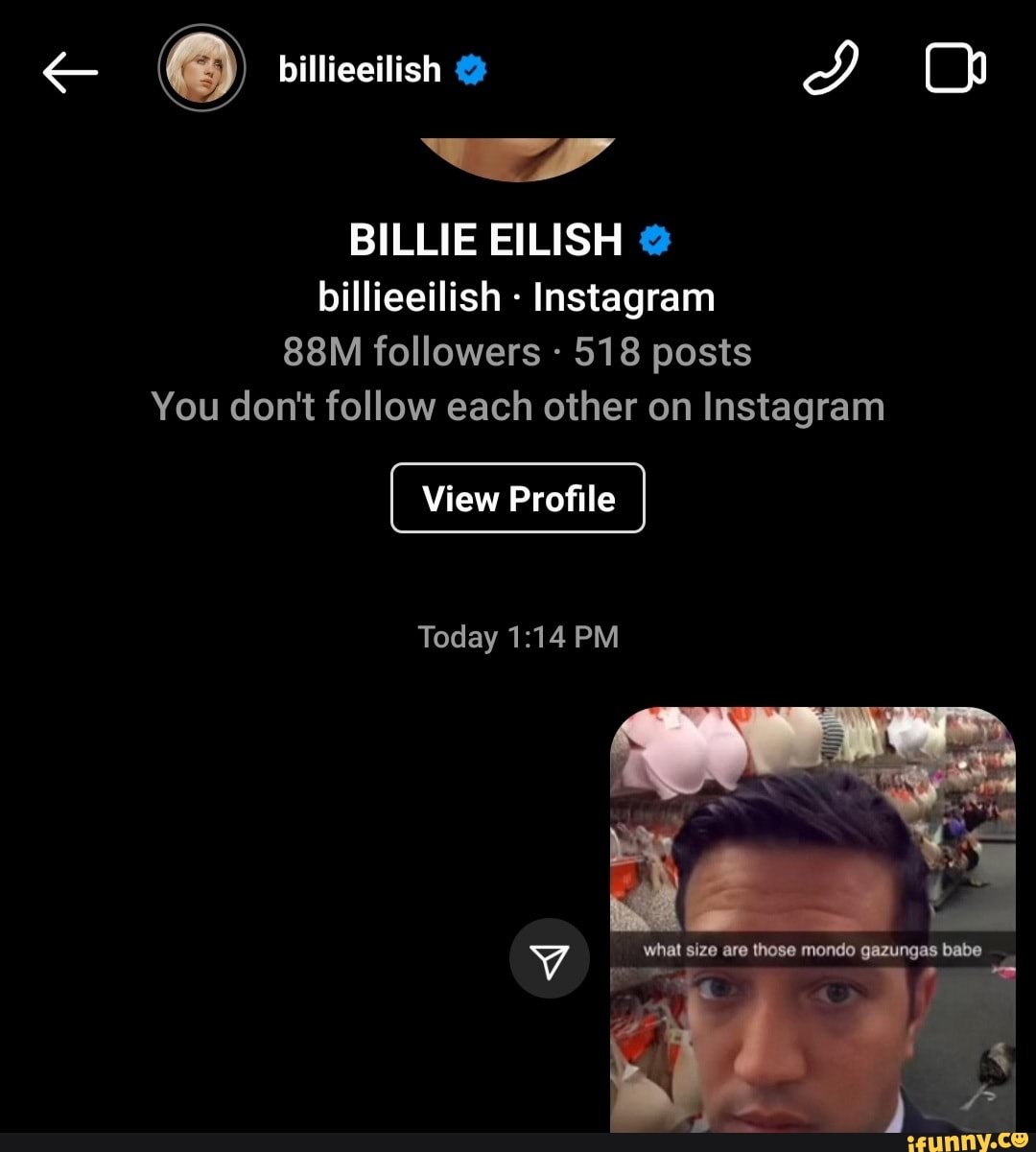 billie eilish instagram followers