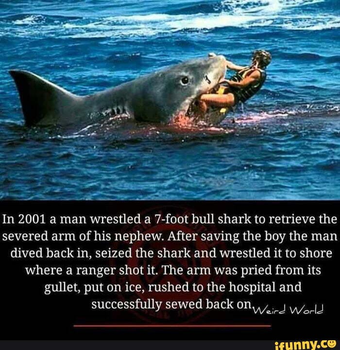In 2001 a man wrestled a 7-foot bull shark to retrieve the severed arm ...