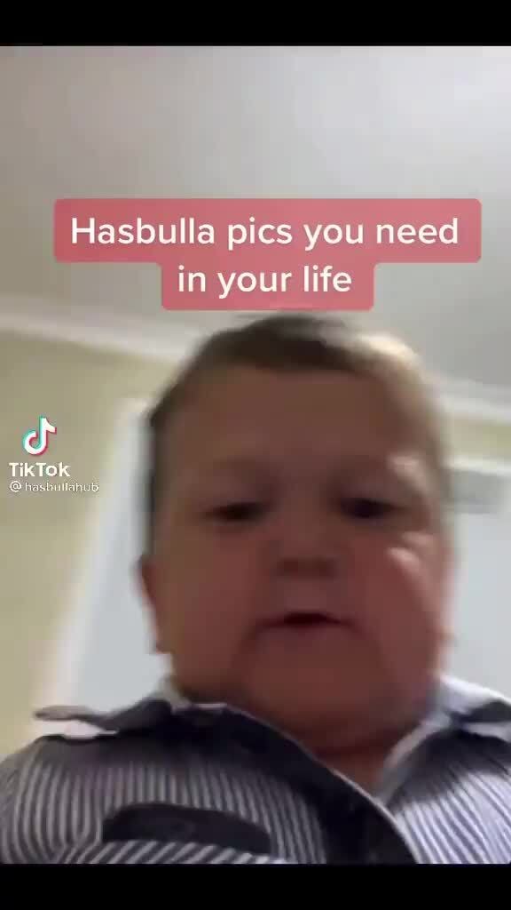 Hasbulla pics you need in your life TikTok, - )