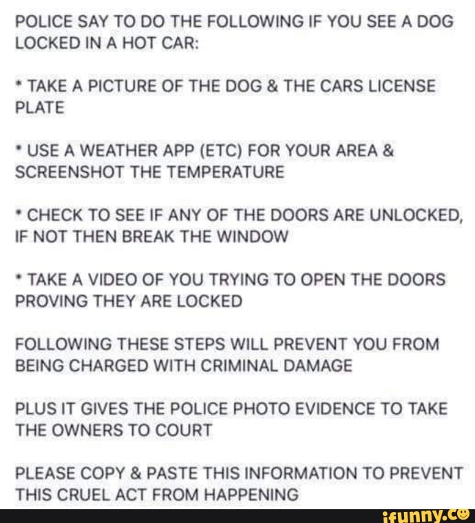 POLICE SAY TO DO THE FOLLOWING IF YOU SEE A DOG LOCKED IN A HOT CAR ...