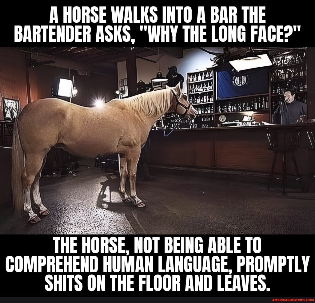 A HORSE WALKS INTO A BAR THE BARTENDER ASKS, "WHY THE LONG FACE?" THE HORSE NOT BEING ABLE TO