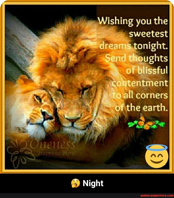 Wishing you the
sweetest
'drea tonight.
S 'oughts of blissful
tentment
ll corners
ofthe earth.
Night - đŸ¥± Night