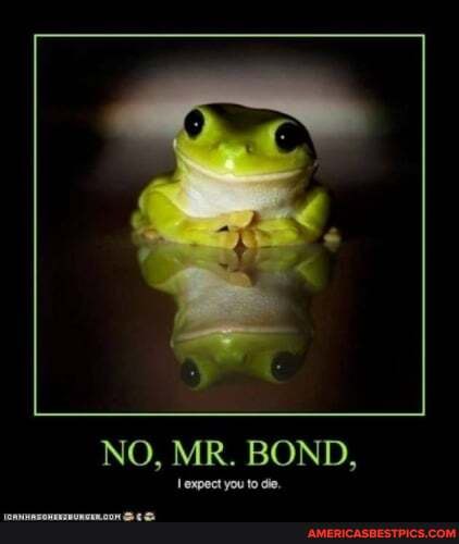 NO, MR. BOND,
expect you to die.