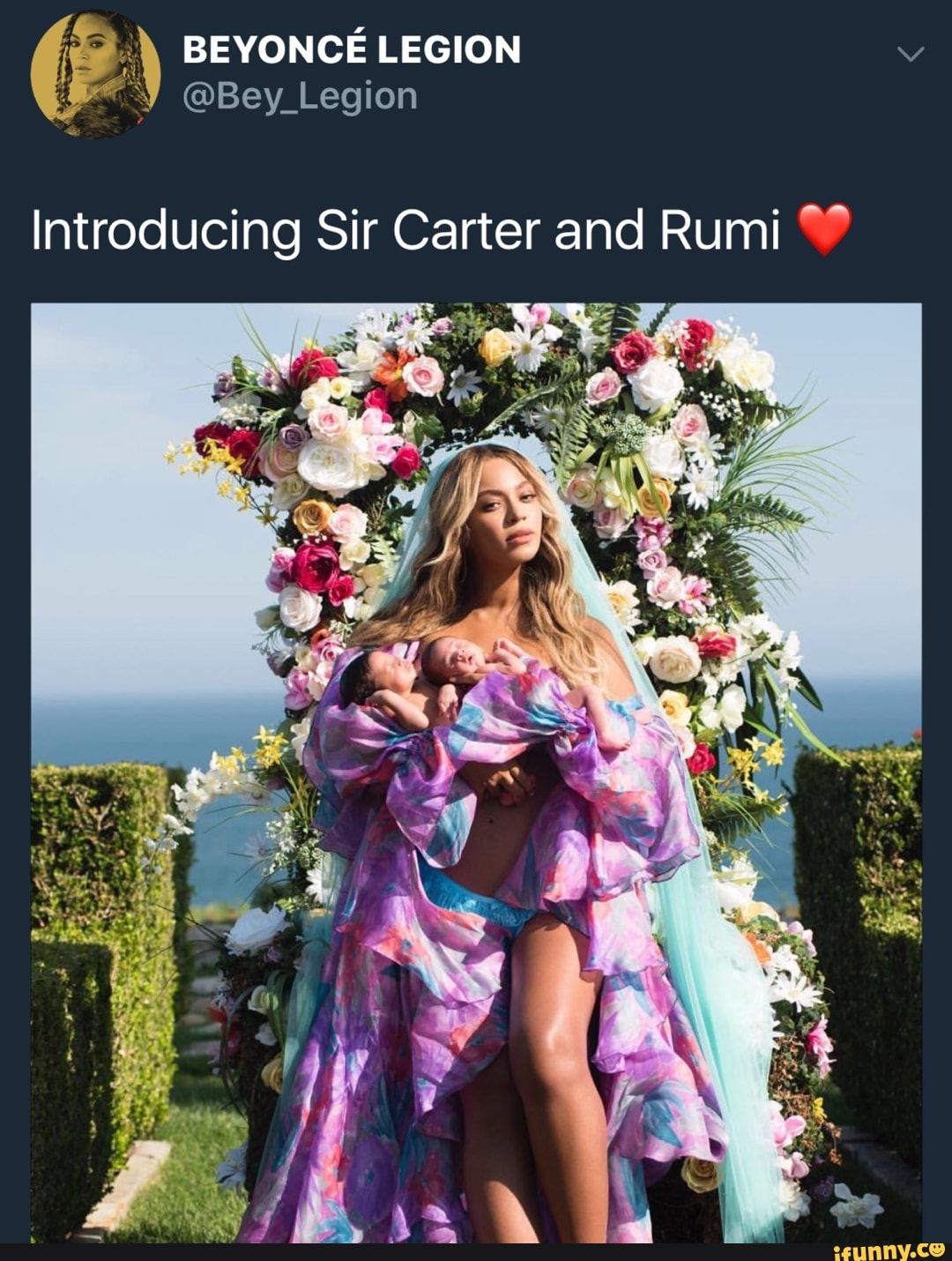 Introducing Sir Carter and Rumi *.* )