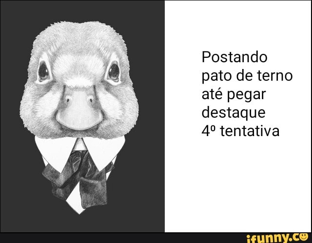 Postando pato de terno até pegar destaque
tentativa