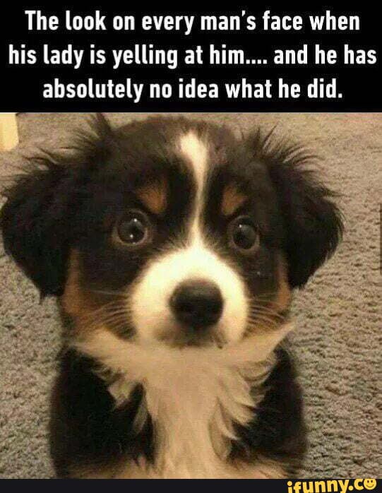The look on every man's face when
his lady is yelling at him.... and he has
absolutely no idea what he did.