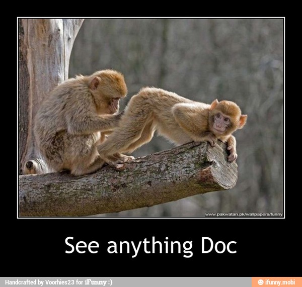 See anything Doc - See anything Doc