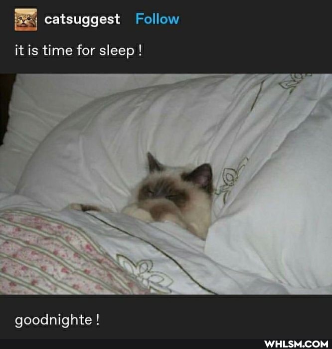 it is time for sleep !
goodnighte !