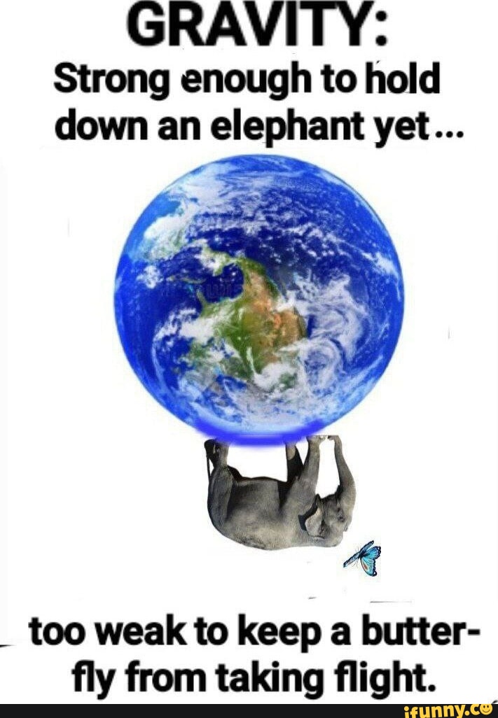 e1d778d7272fad2b52843fa24ceae4026a37625f1d857ab14822f1ac8ee0cd62_1.jpg