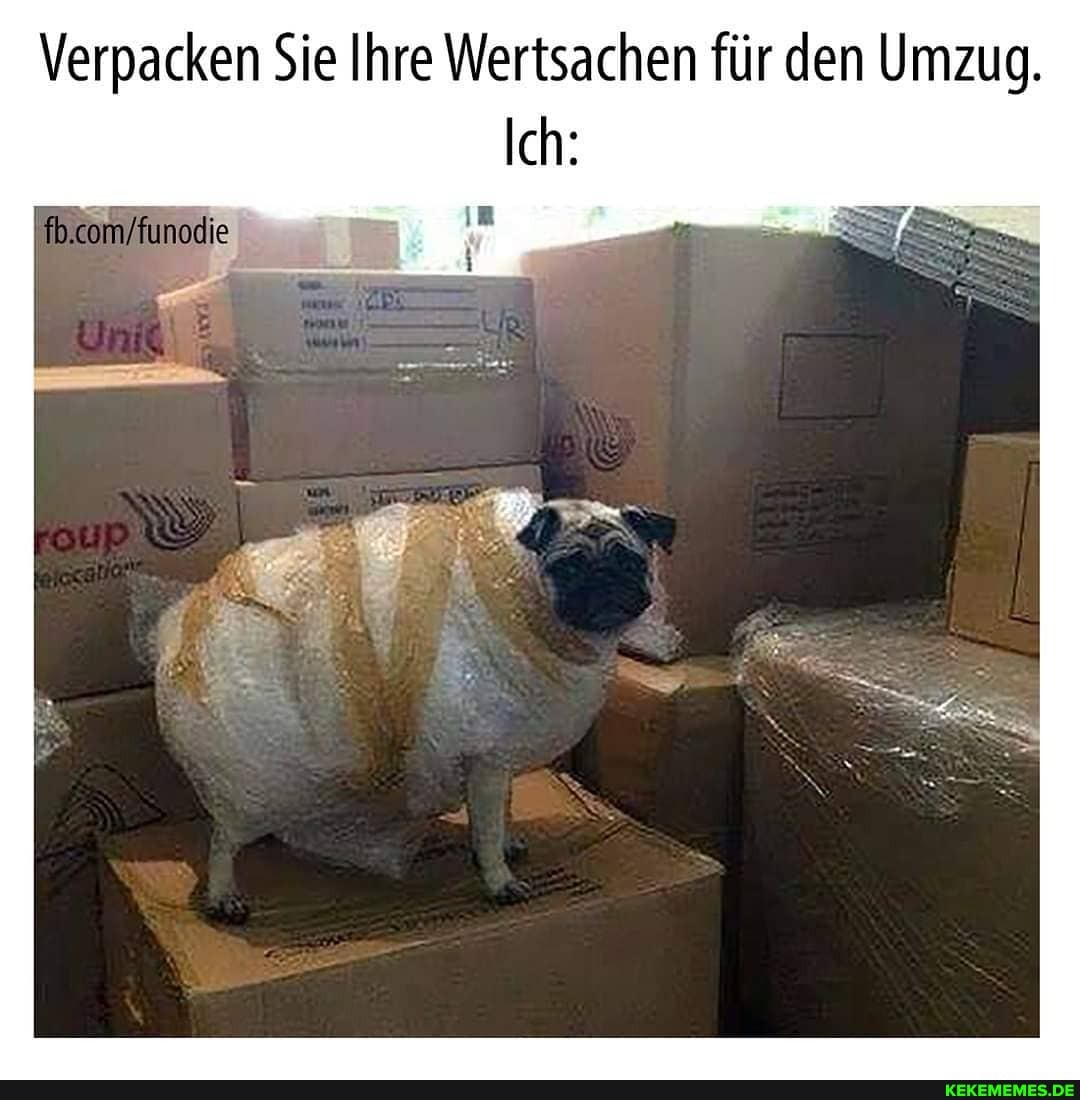 Verpacken Sie Ihre Wertsachen für den Umzug.
Ich: