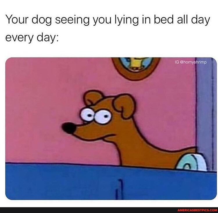 Your dog seeing you lying in bed all day every day: