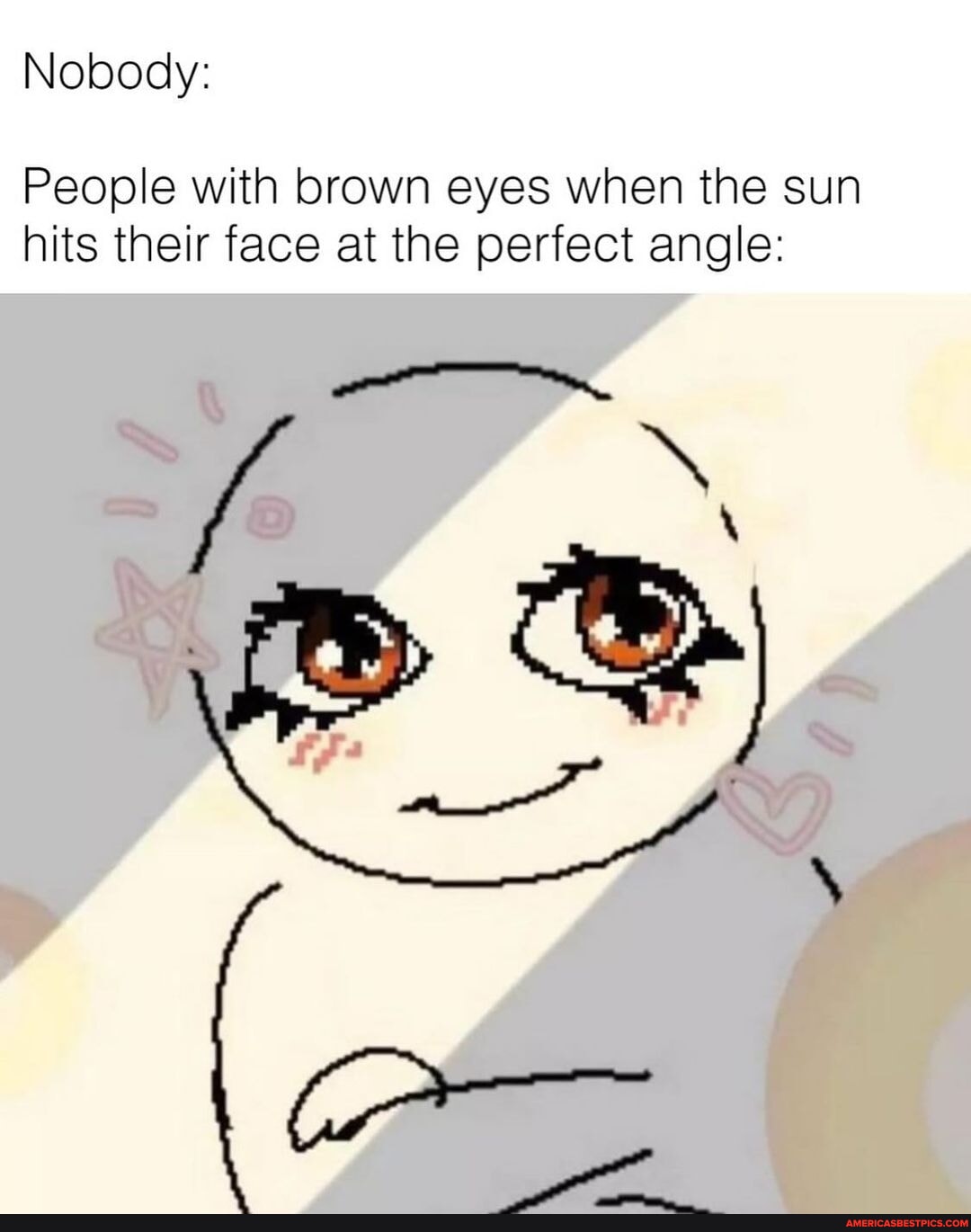 Nobody: People with brown eyes when <b>the</b> <b>sun</b> <b>hits</b> their face at the perfect ...