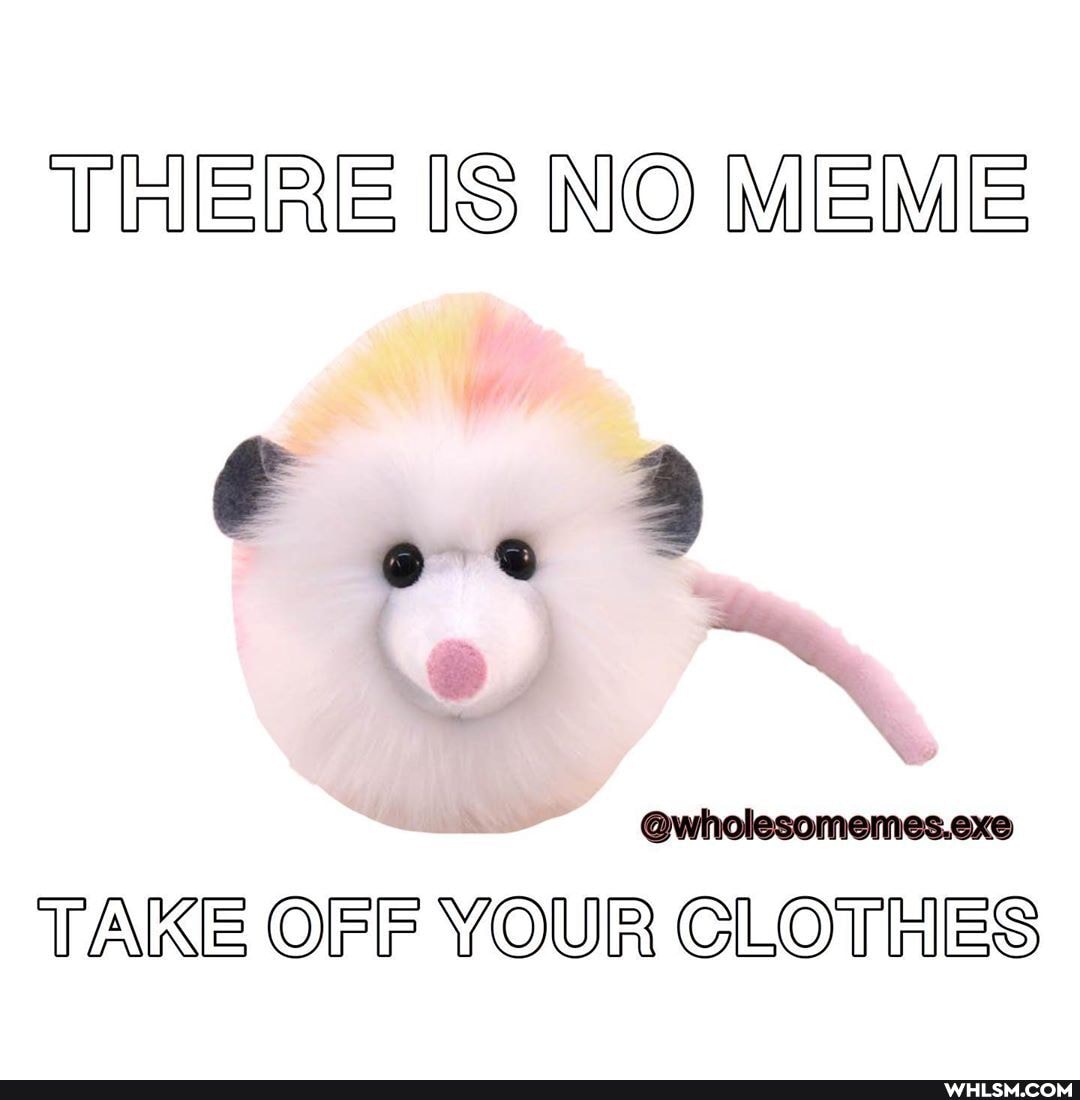 THERE IS NO MEME
@wholesomemes.exe
TAKE OFF YOUR CLOTHES