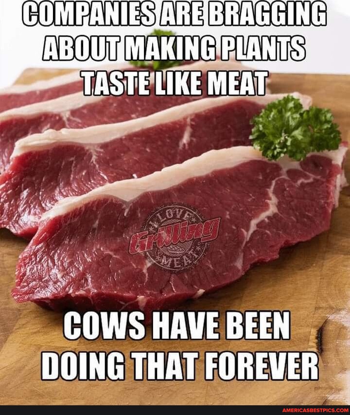 (ARE BRAGGING 'PLANTS TASTE LIKE MEAT COWS HAVE BEEN DOING THAT FOREVER