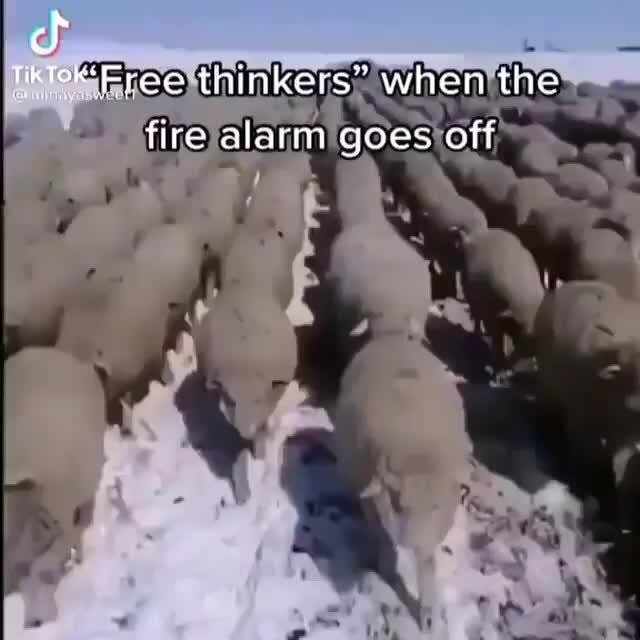 cf-frae-thinkers-when-the-fire-alarm-goes-off