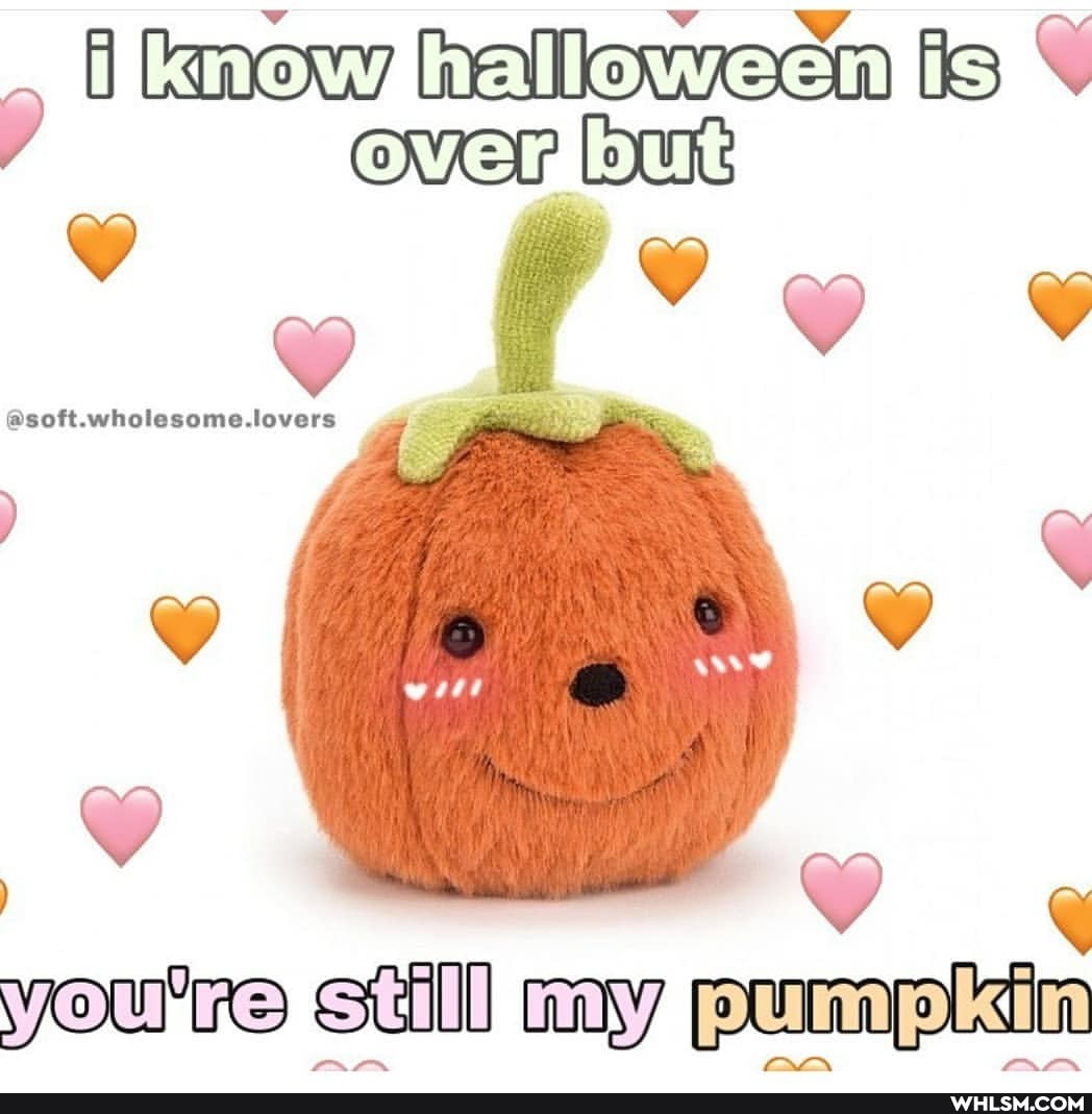 ilknowihalloweenlish.
ovenbut
efe
entro prmaplsi