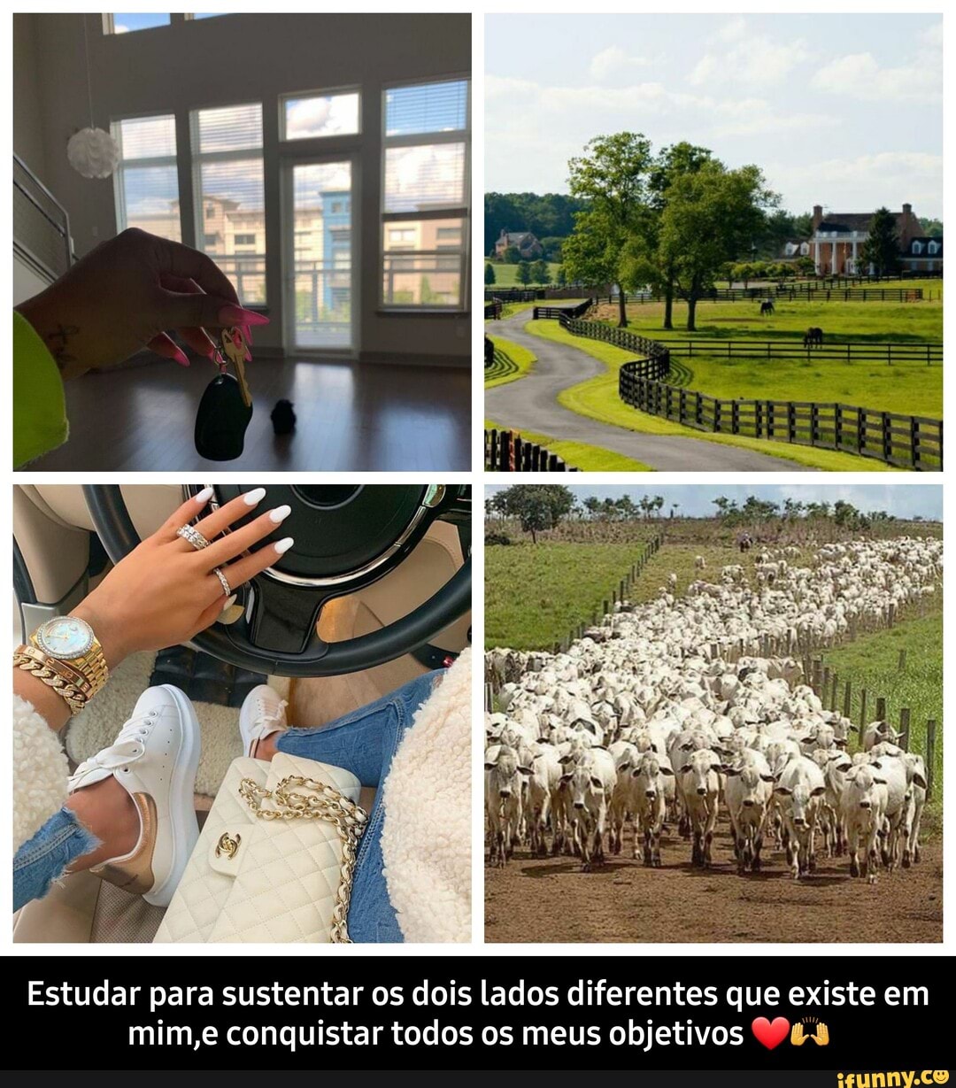 Estudar para sustentar os dois lados diferentes que existe em mim,e conquistar todos os meus objetivos - Estudar para sustentar os dois lados diferentes que existe em mim,e conquistar todos os meus objetivos ❤🙌