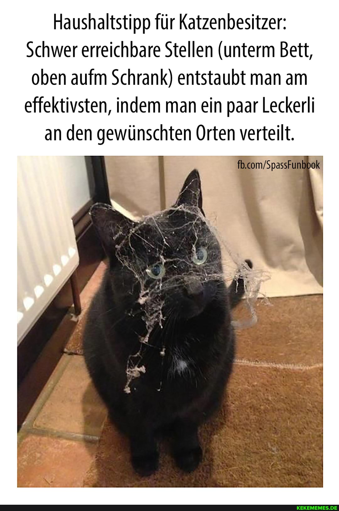 Haushaltstipp für Katzenbesitzer:
Schwer erreichbare Stellen (unterm Bett, oben aufm Schrank) entstaubt man am effektivsten, indem man ein paar Leckerli an den gewünschten Orten verteilt.