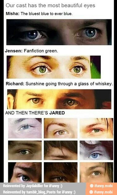 Our cast has the most beautiful eyes
Misha: The bluest blue to ever blue.
Jensen: Fanfiction green.
Richard: Sunshine going through a glass of whiskey.
1