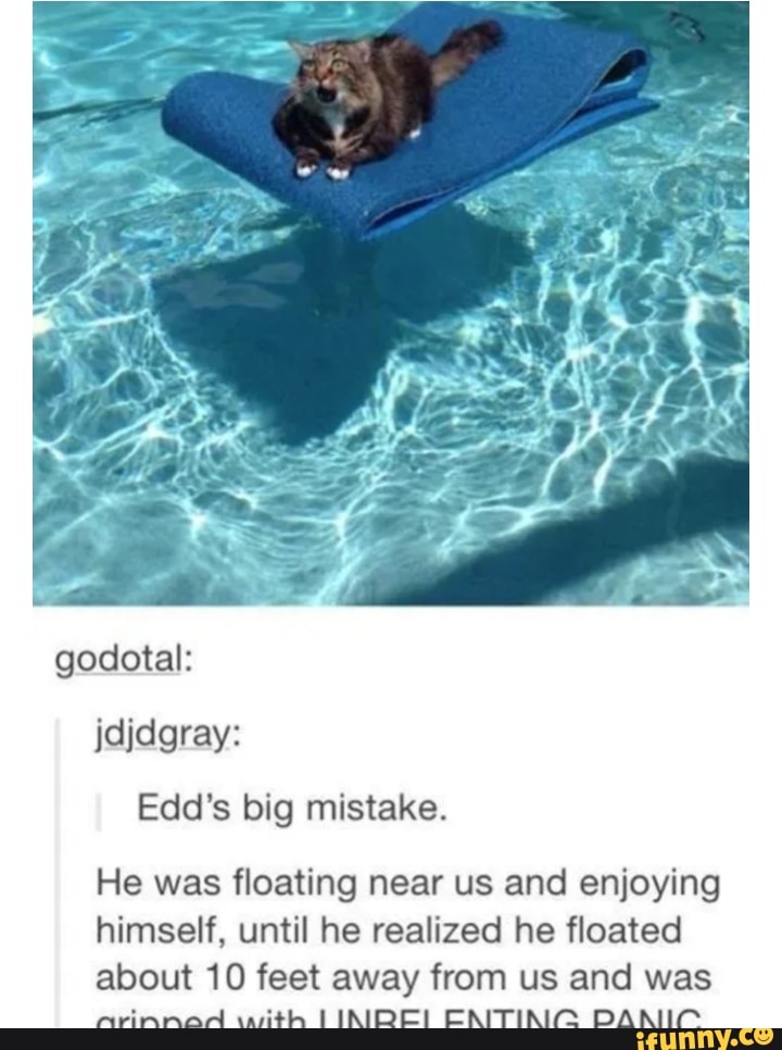 godotal:
He was floating near us and enjoying
himself, until he realized he floated
about 10 feet away from us and was