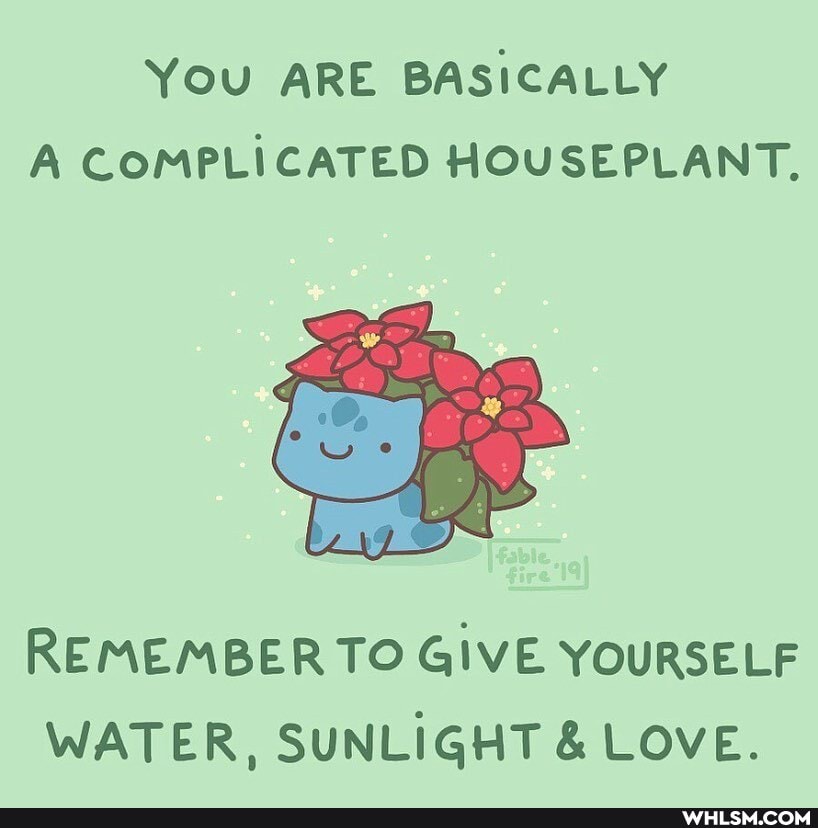 You ARE BASICALLY A COMPLICATED HOUSEPLANT.
REMEMBER TO GIVE YOURSELF WATER, SUNLIGHT & LOVE.