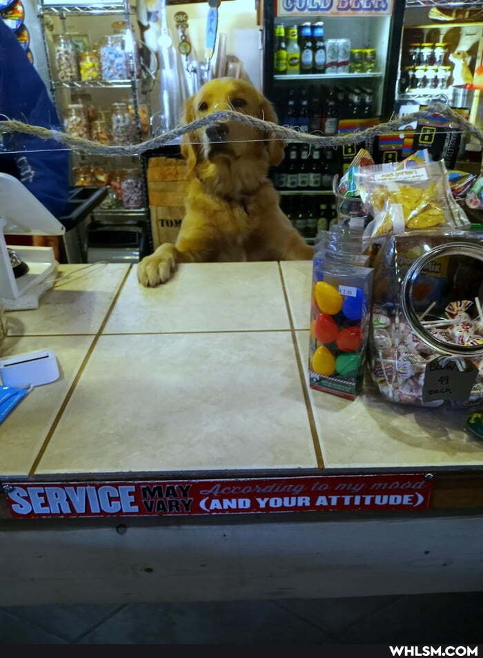 SERVICE (AND YOUR ATTITUDE)