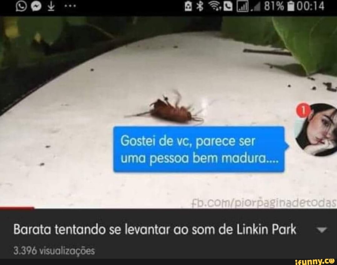 uma pessoa bem madura...
Barata tentando se levantar ao som de Linkin Park.
