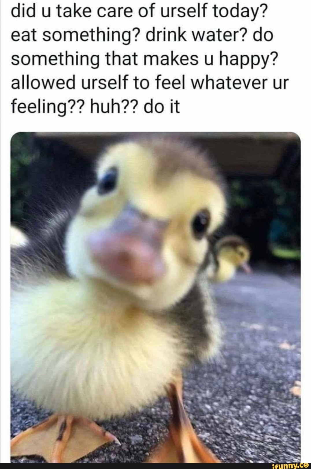 did u take care of urself today? eat something? drink water? do something that makes u happy? allowed urself to feel whatever ur feeling?? huh?? do it