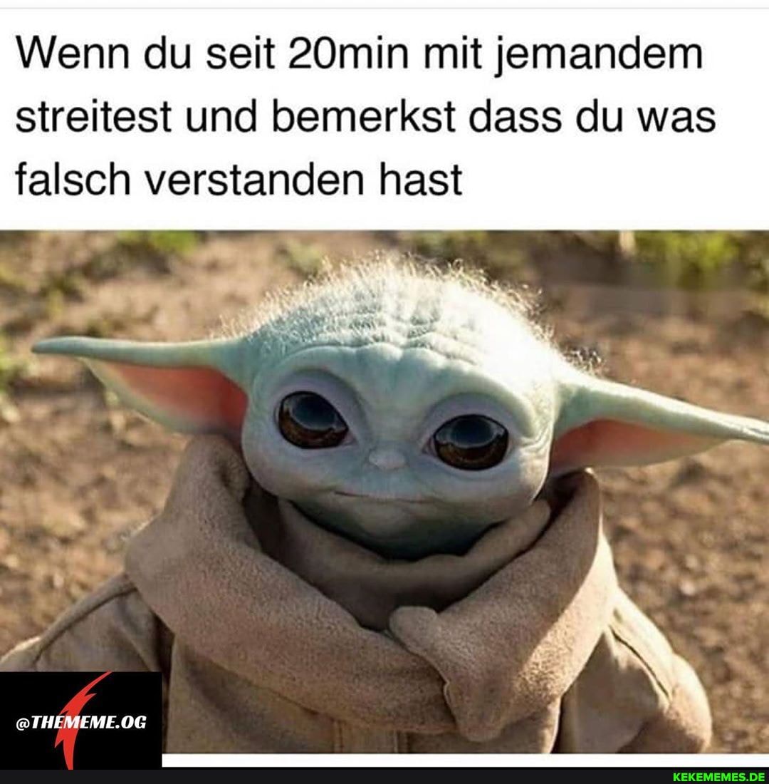 Wenn du seit 20min mit jemandem streitest und bemerkst dass du was falsch verstanden hast
@THEMEME.OG