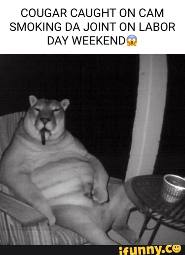 cougar smoking cigarette meme CAUGHT ON CAM DA JOINT ON LABOR DAY WEEKEND Cigar Cougar / Cursed Panther