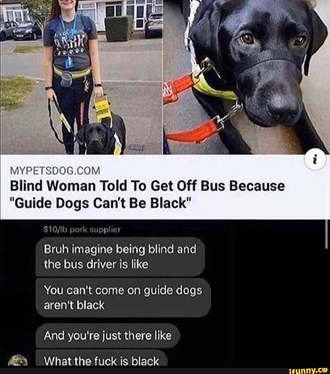 do you have to be totally blind to have a guide dog