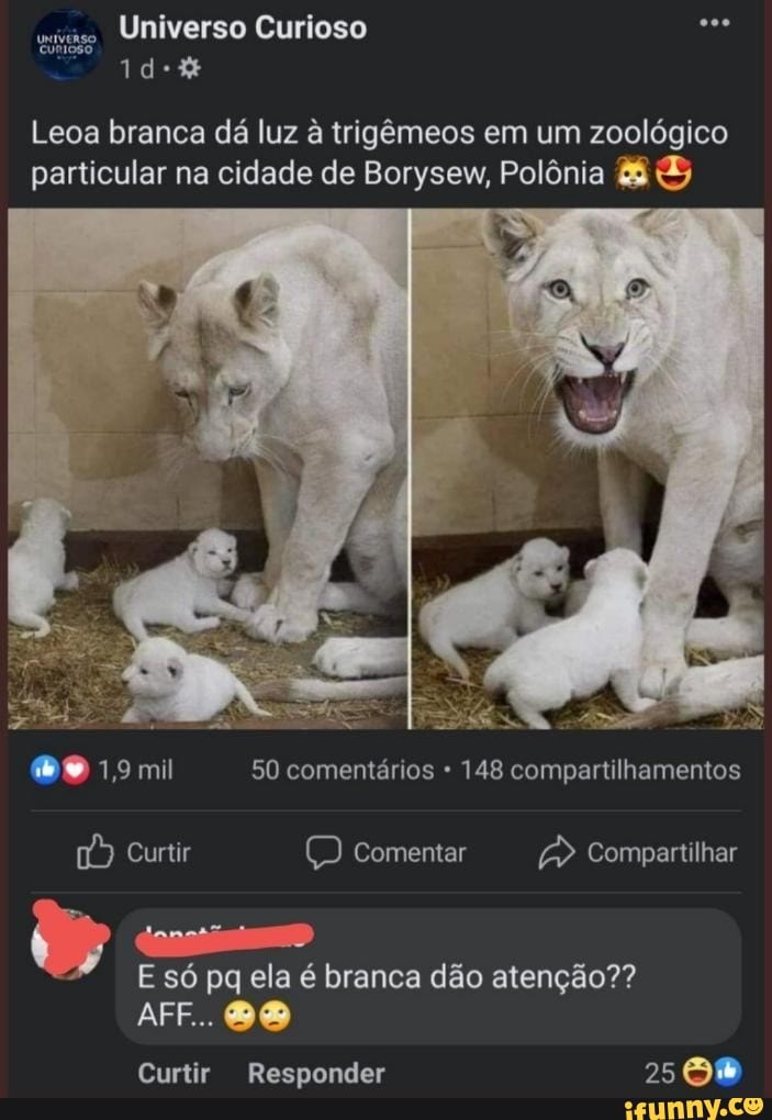 Universo Curioso
Leoa branca dá luz à trigêmeos em um zoológico particular na cidade de Borysew, Polônia
1,9 mil 50 comentários - 148 compartilhamentos
Curtir Comentar Compartilhar
E só pq ela é branca dão atenção??
AFF...
Curtir Responder