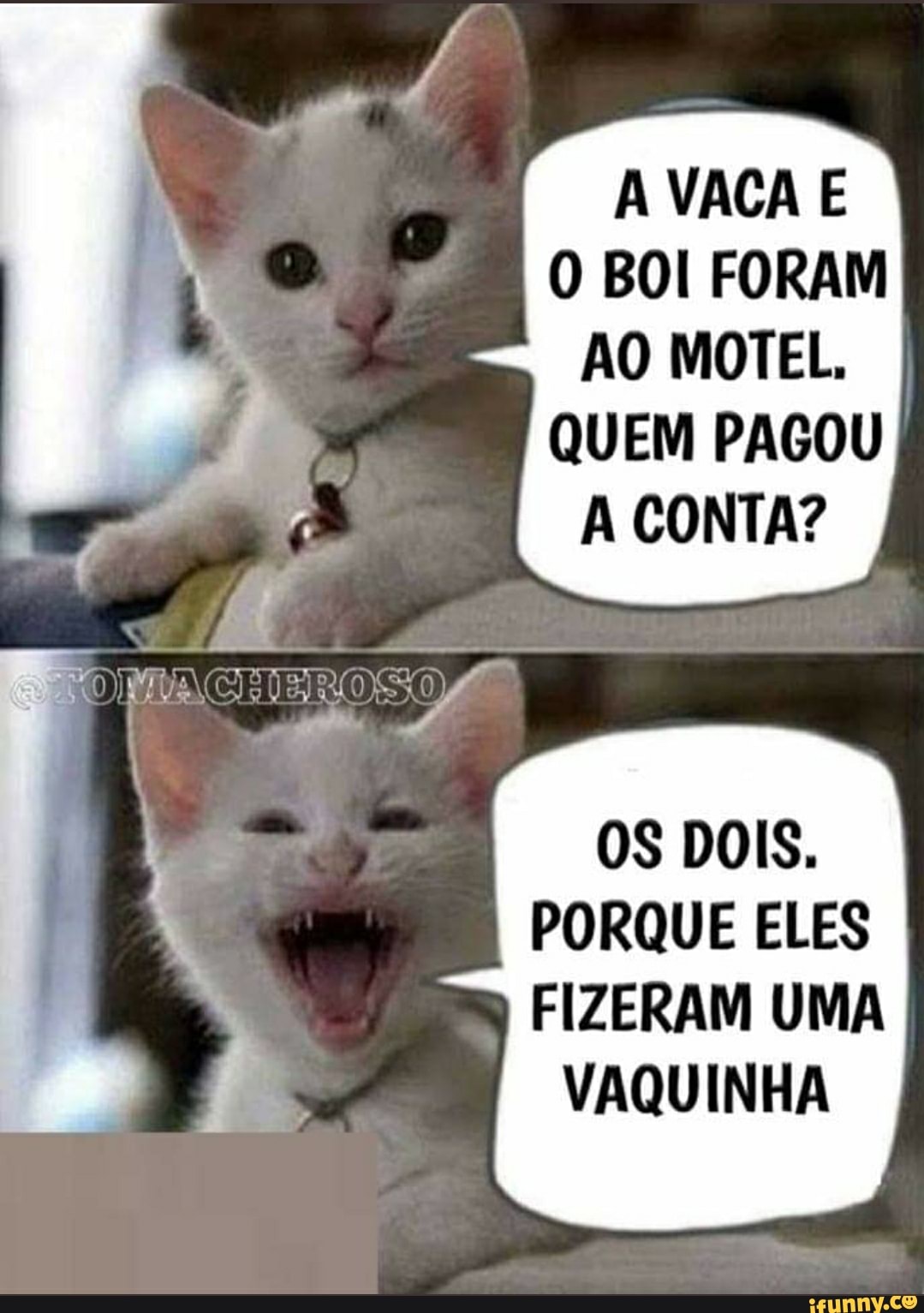 A VACA E O BOI FORAM AO MOTEL,
QUEM PAGOU A CONTA?
OS DOIS.
PORQUE ELES I FIZERAM UMA
VAQUINHA
