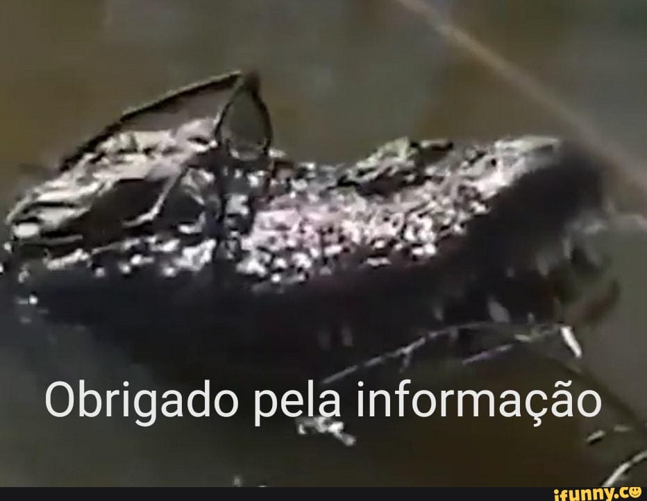 DO
a Obrigado pela informaç
A