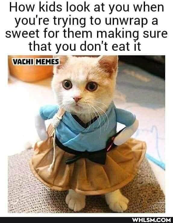 How kids look at you when you're trying to unwrap a sweet for them making sure that you don't eat It
VACHI MEMES