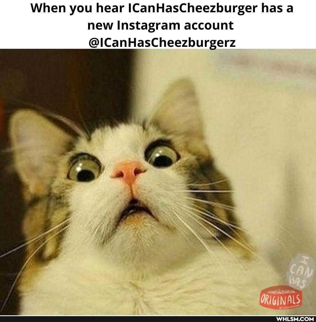 When you hear ICanHasCheezburger has a new Instagram account
@lCantlasCheezburgerz
ORIGINALS