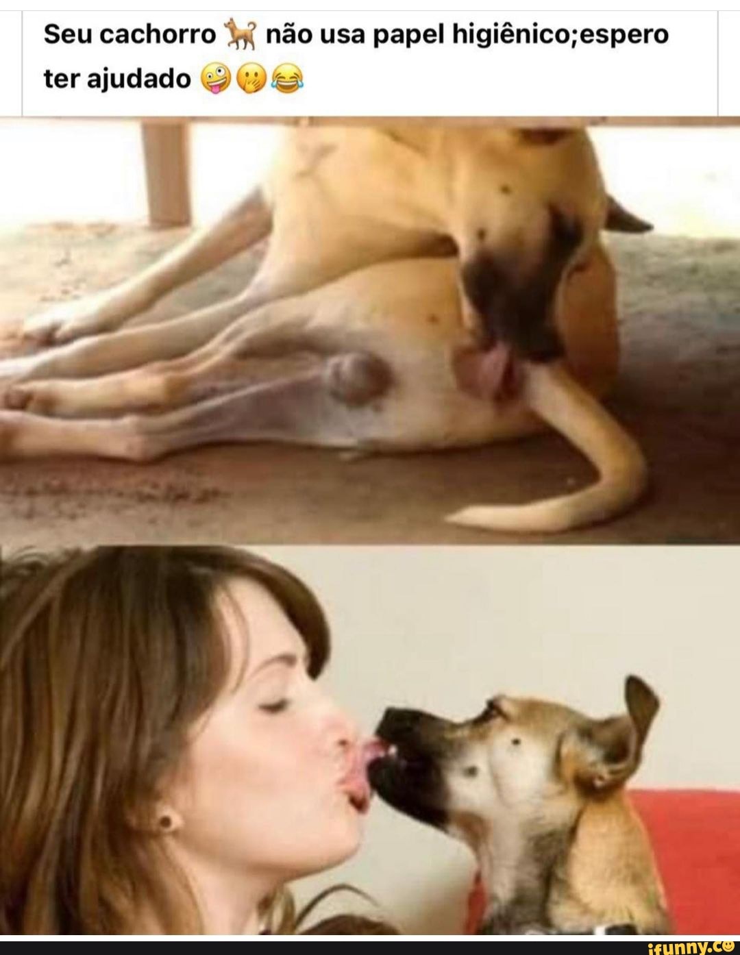 Seu cachorro não usa pepel higiênicoespero
ter ajudado
