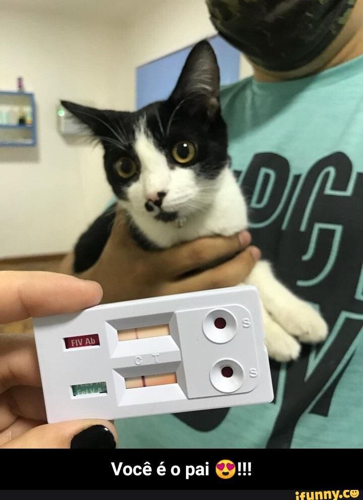Você é o pai - Você é o pai 😍!!!