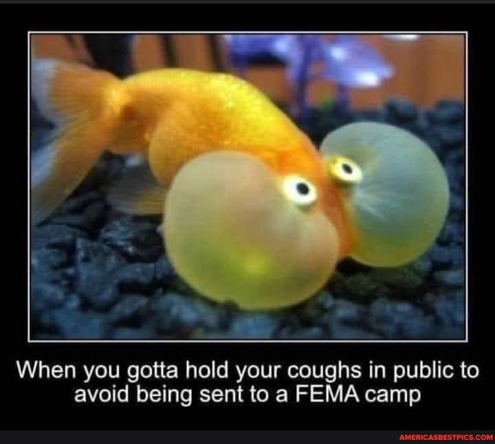 When you gotta hold your coughs in public to avoid being sent to a FEMA camp